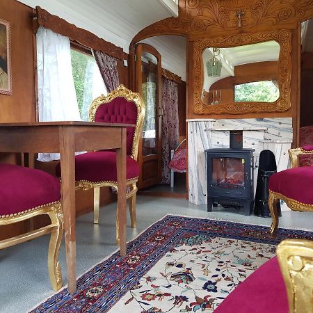 Gipsy Home Nieuwleusen Εξωτερικό φωτογραφία