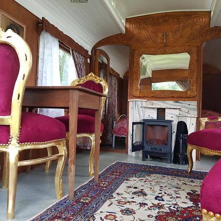 Gipsy Home Nieuwleusen Εξωτερικό φωτογραφία